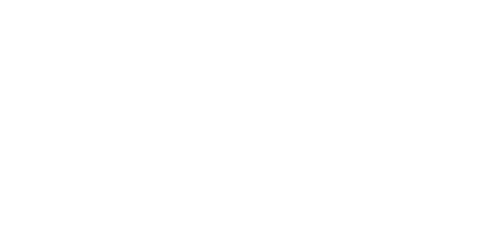 logo light